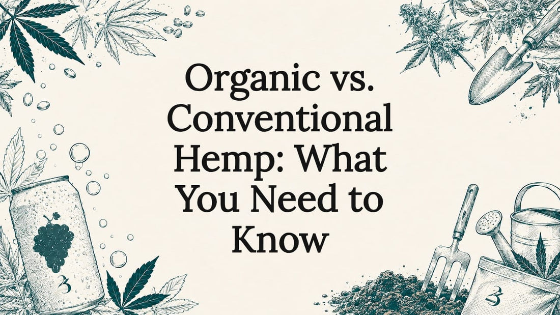 Decorative hand-drawn hemp-themed title card