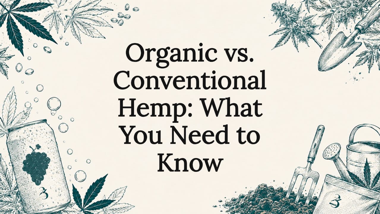 Decorative hand-drawn hemp-themed title card