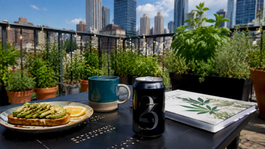 Hemp beverage on kitchen table with brunch setup