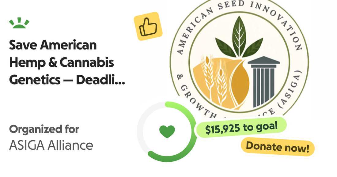 Thank You, GreenState: Why Section 781 Matters