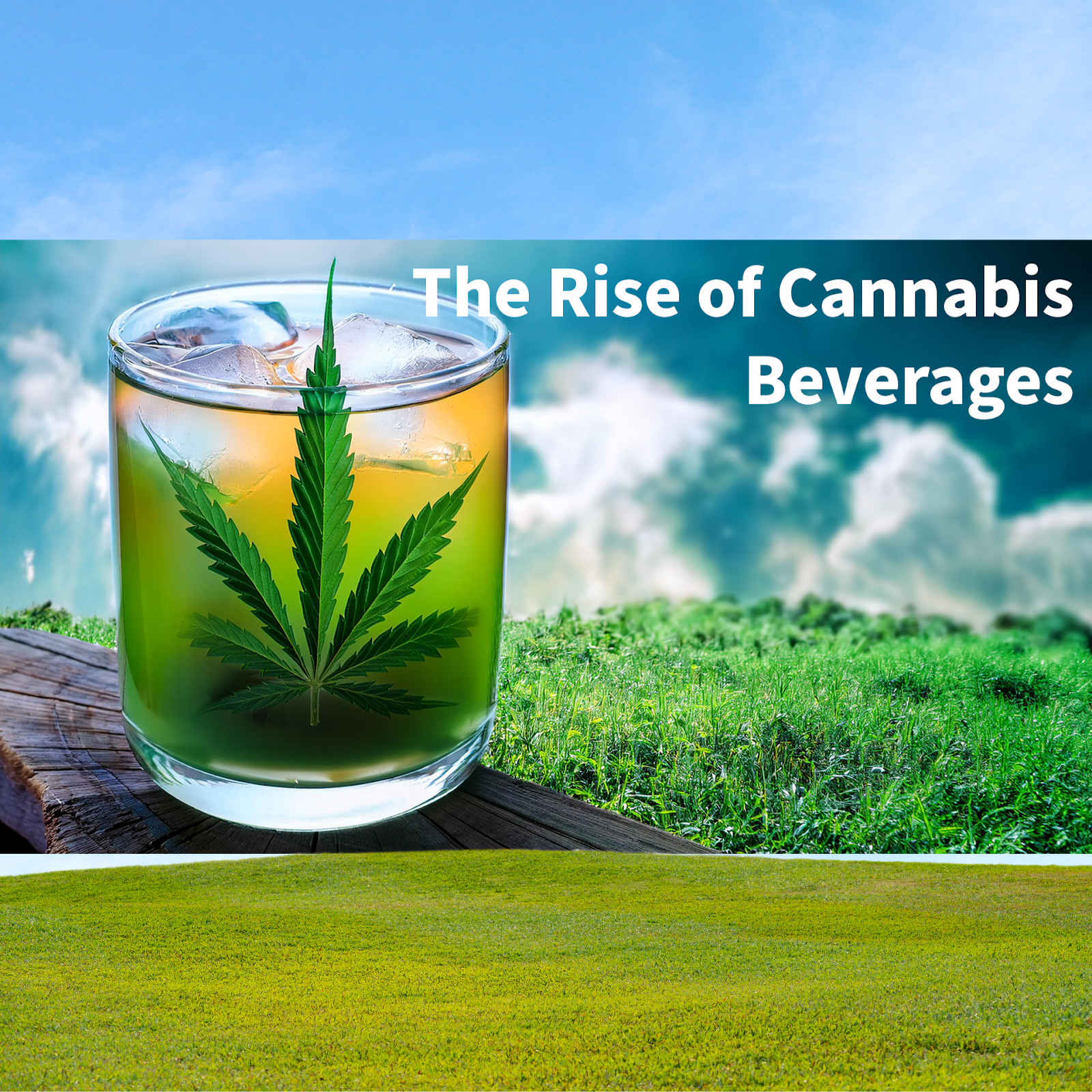 The Future of Cannabis Beverages in the U.S. Market
