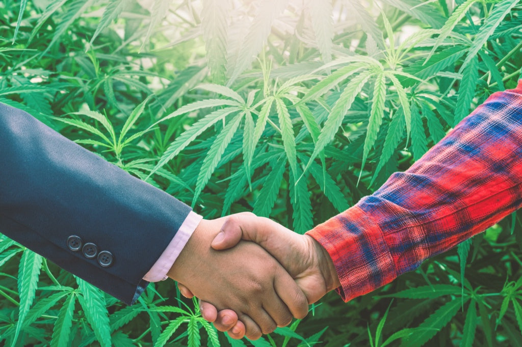 Why Cannabis and Hemp Trade Unity Matters — 23rd State on GreenState