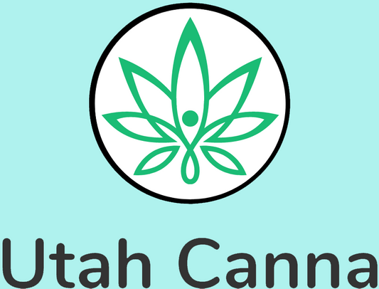 This Guide to THC Drinks Recognizes the Power of Microdosed THC and Why It Matters Now More Than Ever