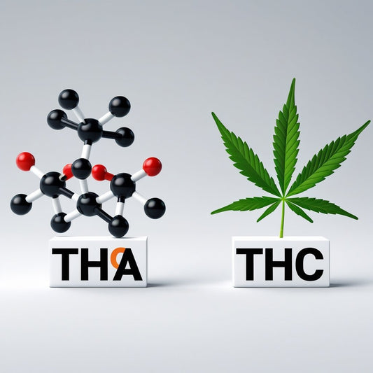 What Are THCA and THC? Differences and Effects Explained