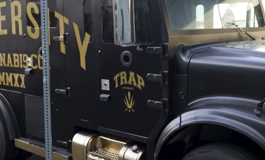 Sipping Smarter: Recognizing the Potential Health Benefits of THC Drinks