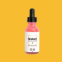 SHAKE_Cosmo_review